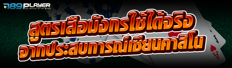 สูตรเสือมังกรใช้ได้จริง จากประสบการณ์เซียนคาสิโน