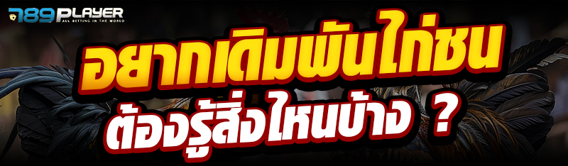 อยากเดิมพันไก่ชนต้องรู้สิ่งไหนบ้าง ?