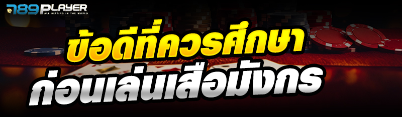 ข้อดีที่ควรศึกษาก่อนเล่นเสือมังกร